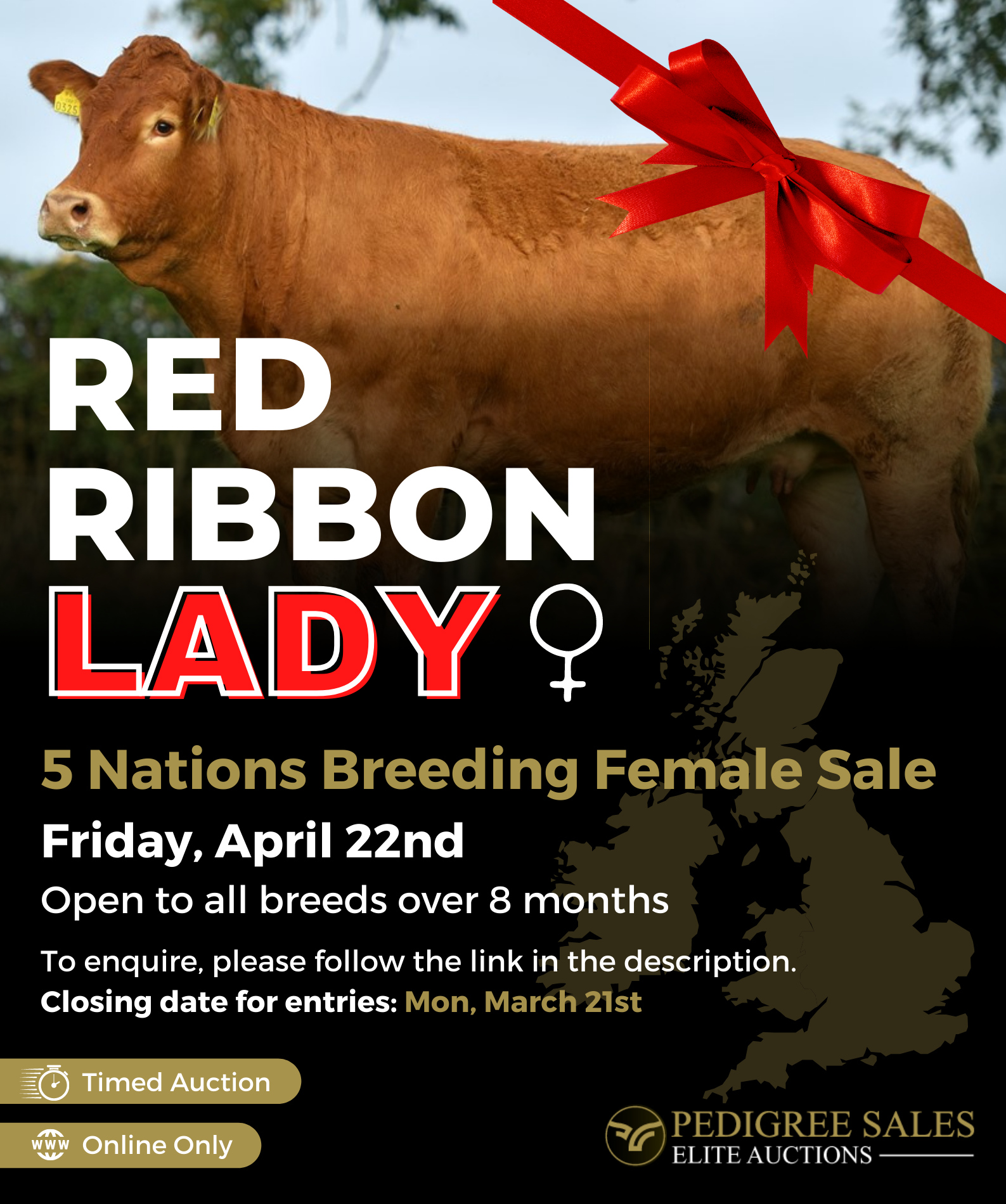 Copy of Copy of Red Ribbon Sale