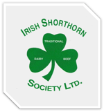 Irish Shorthorn